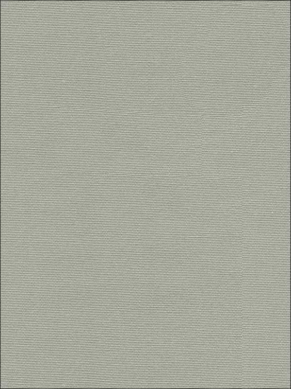 Classic Canvas 11 Multipurpose Fabric 2974111 by Kravet Fabrics for sale at Wallpapers To Go