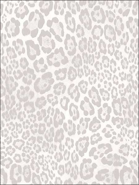 Leopard Print Wallpaper G67463 by Norwall Wallpaper for sale at Wallpapers To Go
