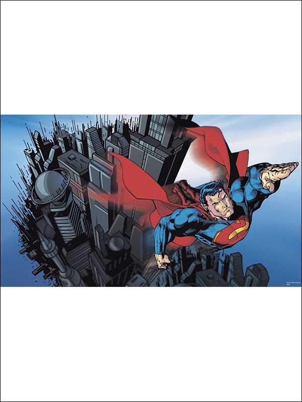 Superman Collector XL 7 Panel Mural JL1064M by York Wallpaper for sale at Wallpapers To Go