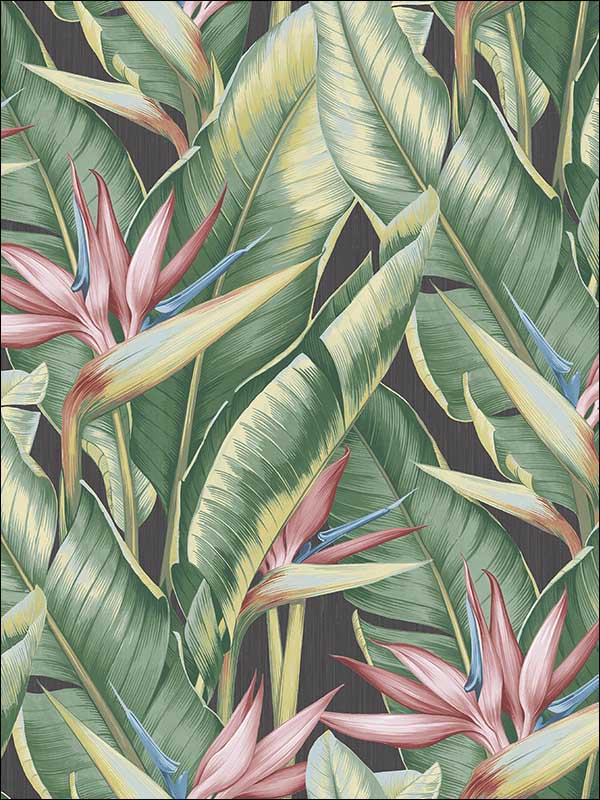 Arcadia Pink Banana Leaf Wallpaper PS40201 by Kenneth James Wallpaper for sale at Wallpapers To Go