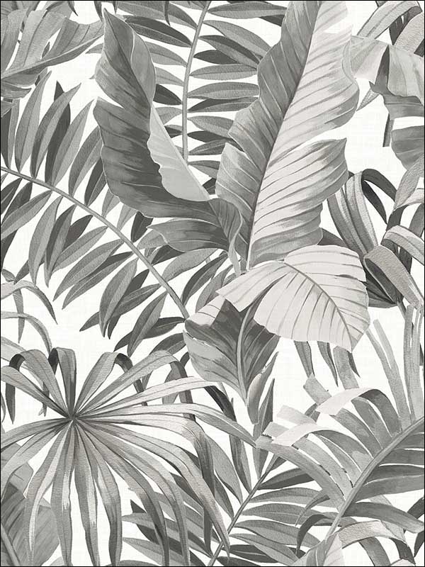 Alfresco Black Palm Leaf Wallpaper 274424134 by A Street Prints Wallpaper for sale at Wallpapers To Go