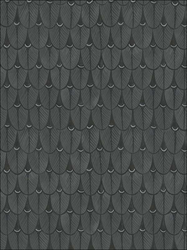 Narina Charcoal Wallpaper 10910046 by Cole and Son Wallpaper for sale at Wallpapers To Go
