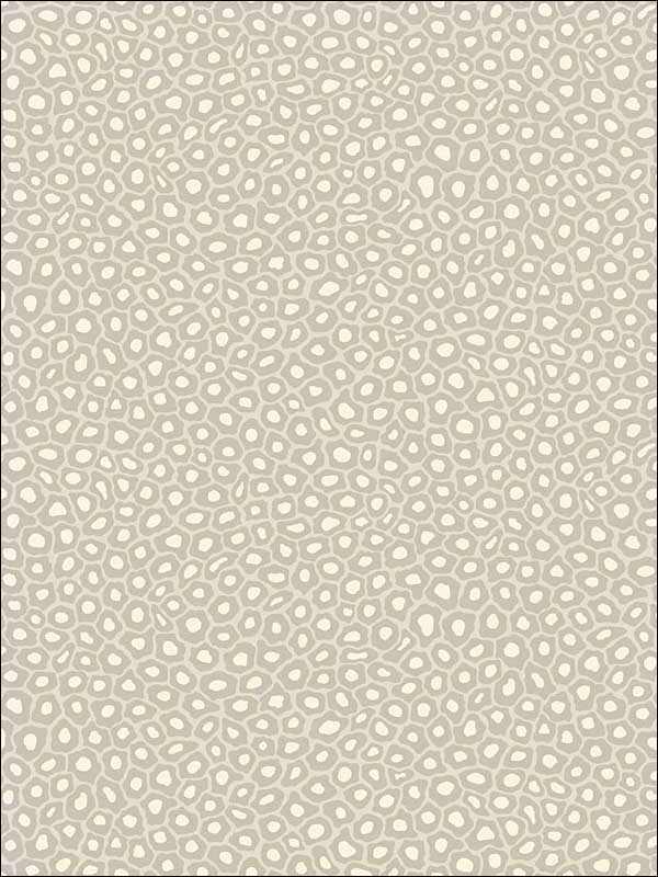 Senzo Spot Stone And White Wallpaper 1096030 by Cole and Son Wallpaper for sale at Wallpapers To Go