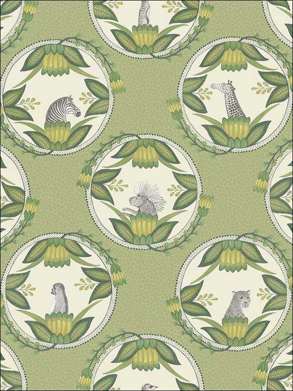 Ardmore Cameos Green Wallpaper 1099042 by Cole and Son Wallpaper for sale at Wallpapers To Go