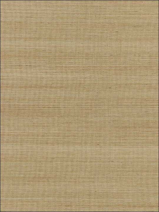 Shantung Grasscloth Rye Wallpaper SC0002WP88347 by Scalamandre Wallpaper for sale at Wallpapers To Go