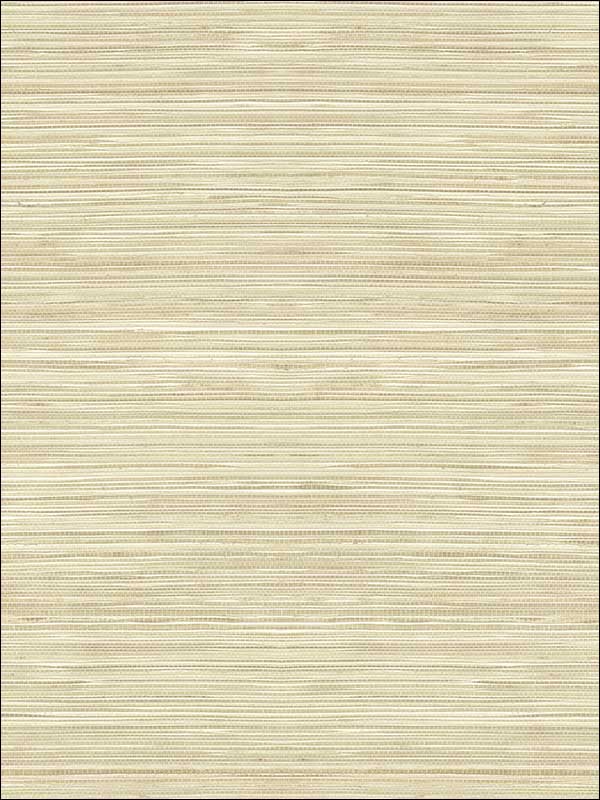 Grasscloth Look Textured Wallpaper RC10307 by Wallquest Wallpaper for sale at Wallpapers To Go