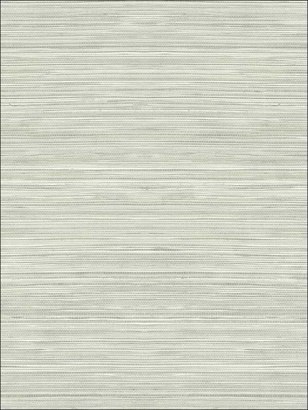 Grasscloth Look Textured Wallpaper RC10318 by Wallquest Wallpaper for sale at Wallpapers To Go