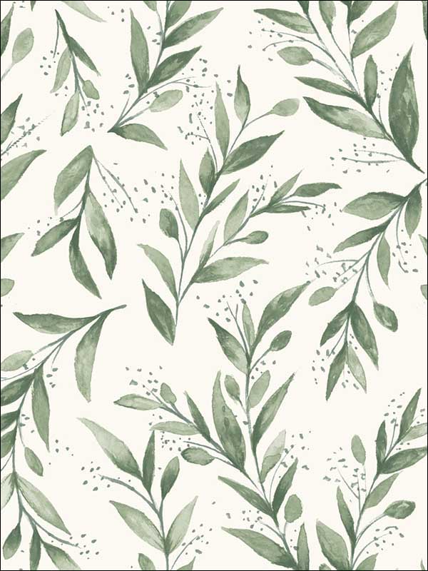 Olive Branch Olive Grove Wallpaper ME1535 by York Wallpaper for sale at Wallpapers To Go