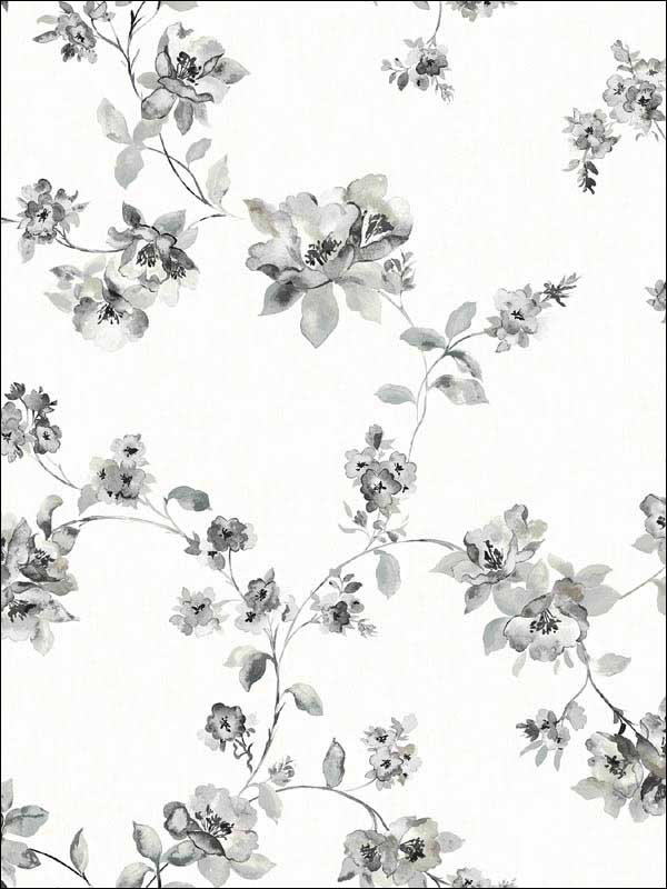 Cyrus Black Floral Wallpaper 311524482 by Chesapeake Wallpaper for sale at Wallpapers To Go