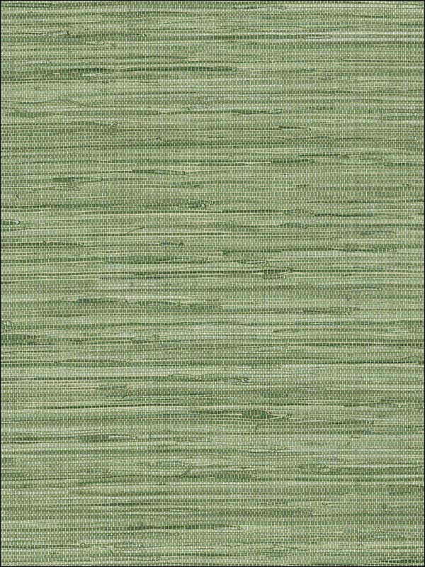 Grasscloth Green Wallpaper MH36504 by Patton Norwall Wallpaper for sale at Wallpapers To Go