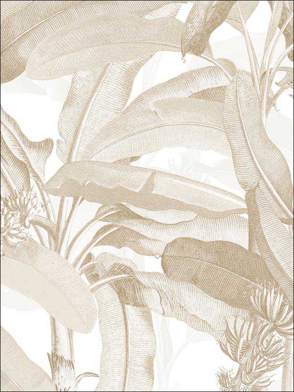 Polynesian Leaves Tan Beige Wallpaper MH36536 by Patton Norwall Wallpaper for sale at Wallpapers To Go