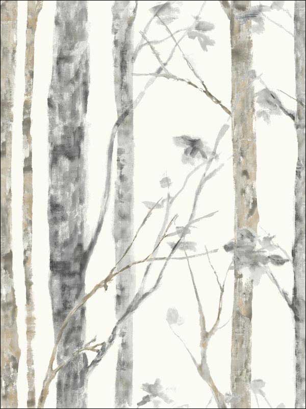 Birch Trees Peel and Stick Wallpaper RMK9047WP by York Wallpaper for sale at Wallpapers To Go