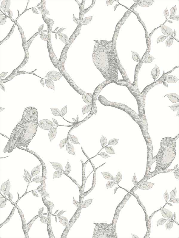 Enchanted Forest Grey Owl and Tree Wallpaper FD23289 by Brewster Wallpaper for sale at Wallpapers To Go