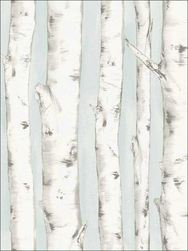 Pioneer Light Blue Birch Tree Wallpaper 311812602 by Chesapeake Wallpaper for sale at Wallpapers To Go