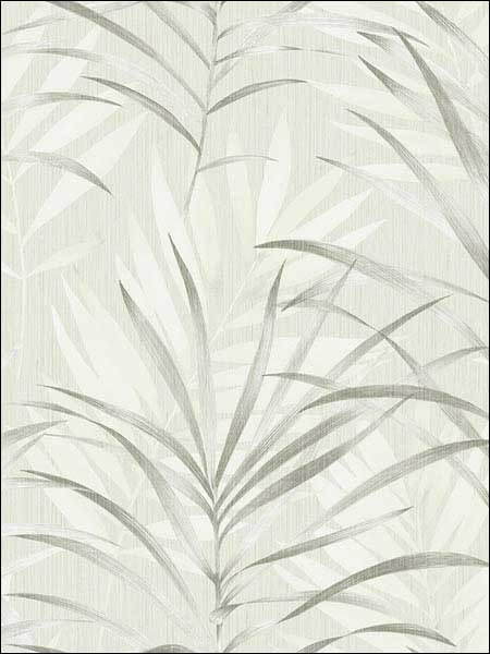 Tropical Leaves Wallpaper SL11300 by Wallquest Wallpaper for sale at Wallpapers To Go