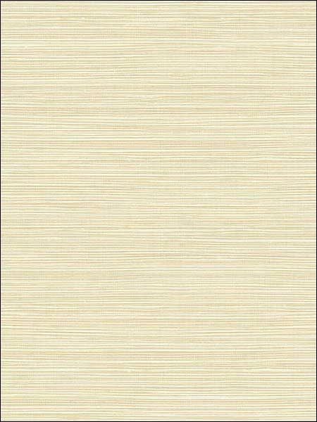 Subtle Grasscloth Wallpaper SL11605 by Wallquest Wallpaper for sale at Wallpapers To Go