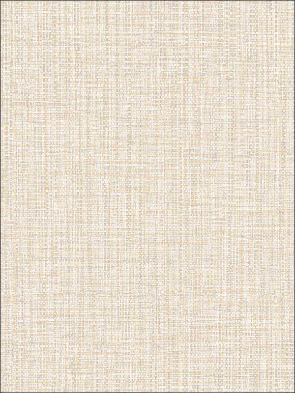 Rattan Beige Woven Wallpaper 290824945 by A Street Prints Wallpaper for sale at Wallpapers To Go