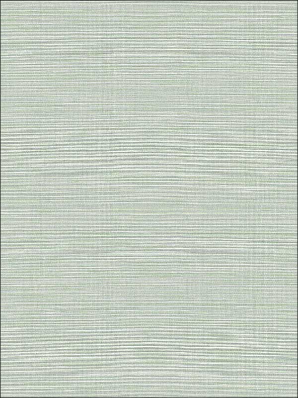 Coastal Hemp Tender Green  Wallpaper BV30444 by Seabrook Wallpaper for sale at Wallpapers To Go
