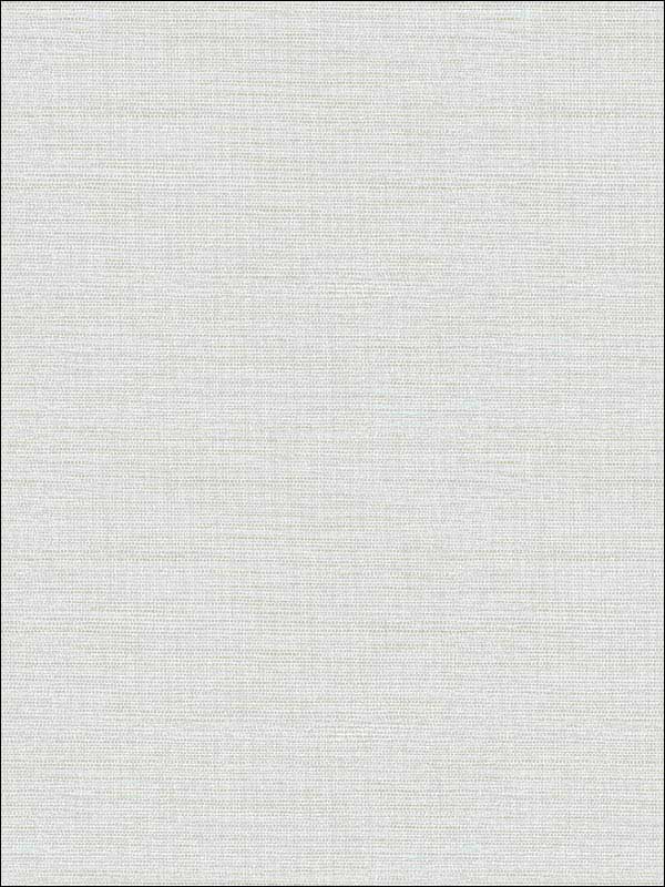 Agave Light Grey Faux Grasscloth Wallpaper 290224278 by A Street Prints Wallpaper for sale at Wallpapers To Go