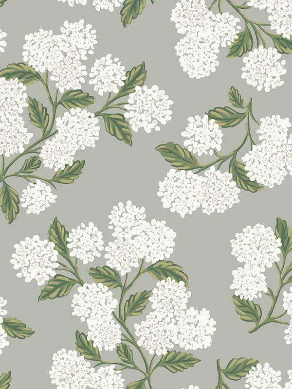 Hydrangea Gray Wallpaper RI5144 by Rifle Paper Co Wallpaper for sale at Wallpapers To Go